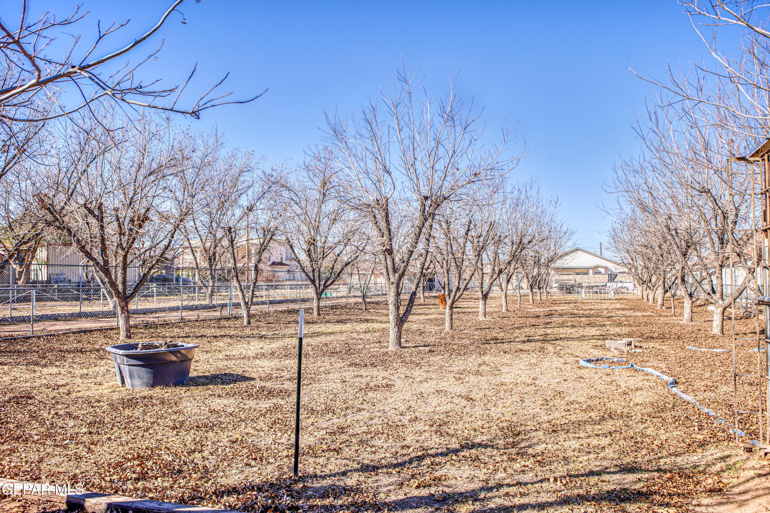 440 James Street Property Photo 65