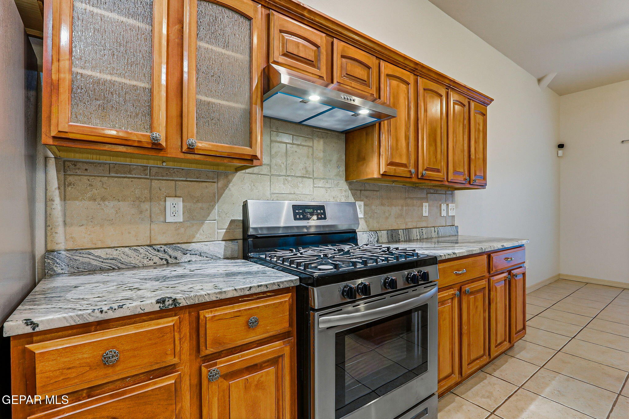 13579 Emerald Falls Drive Property Photo 22