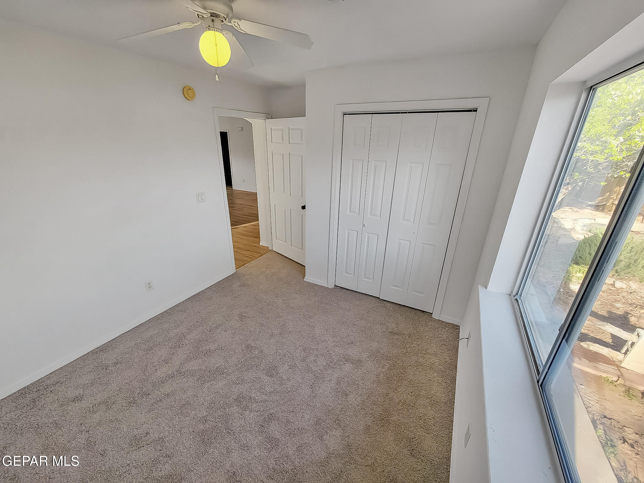 803 Magnolia Street Property Photo 18