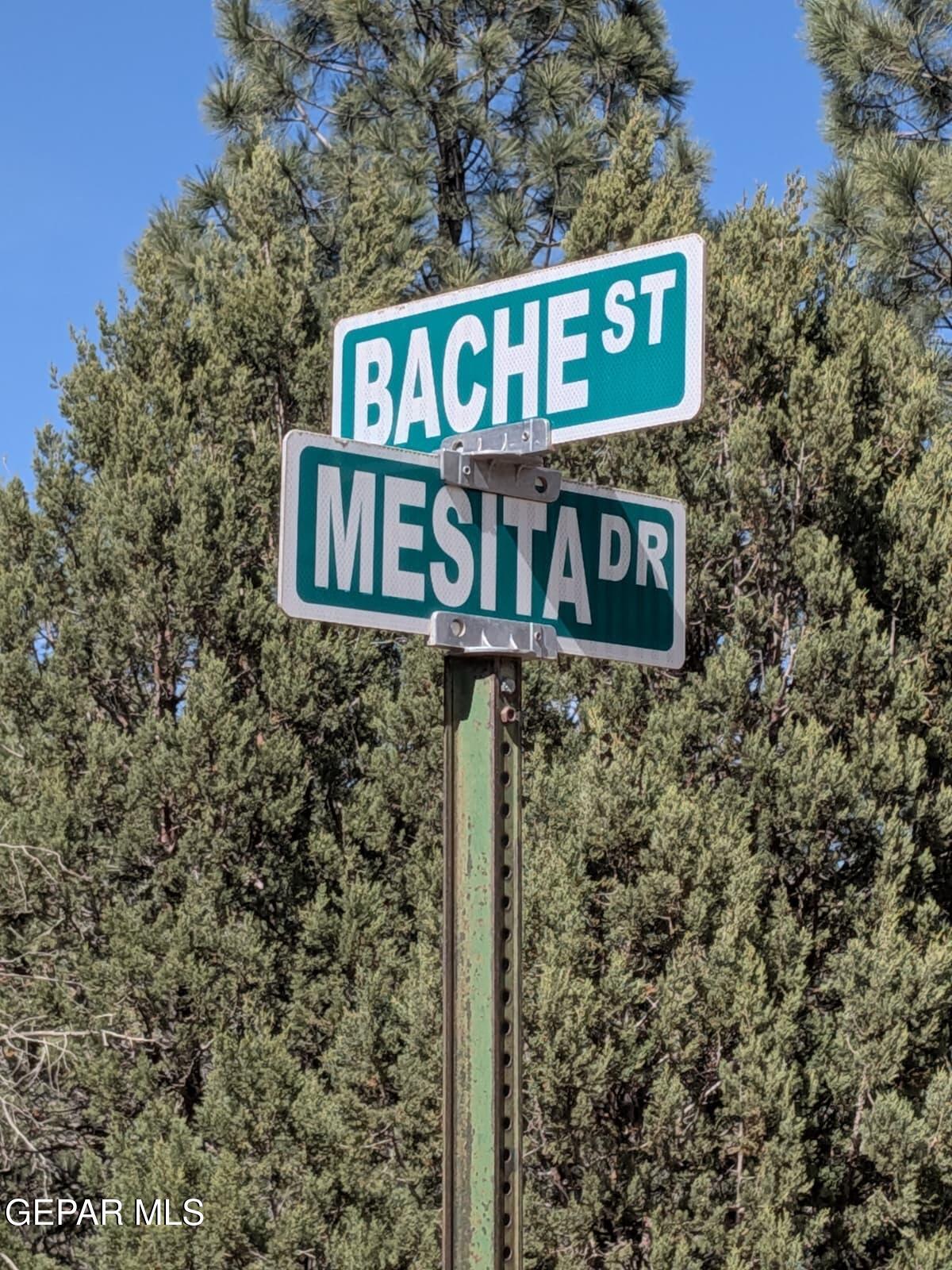 PN TBD BACHE ST & MESITA DR Drive