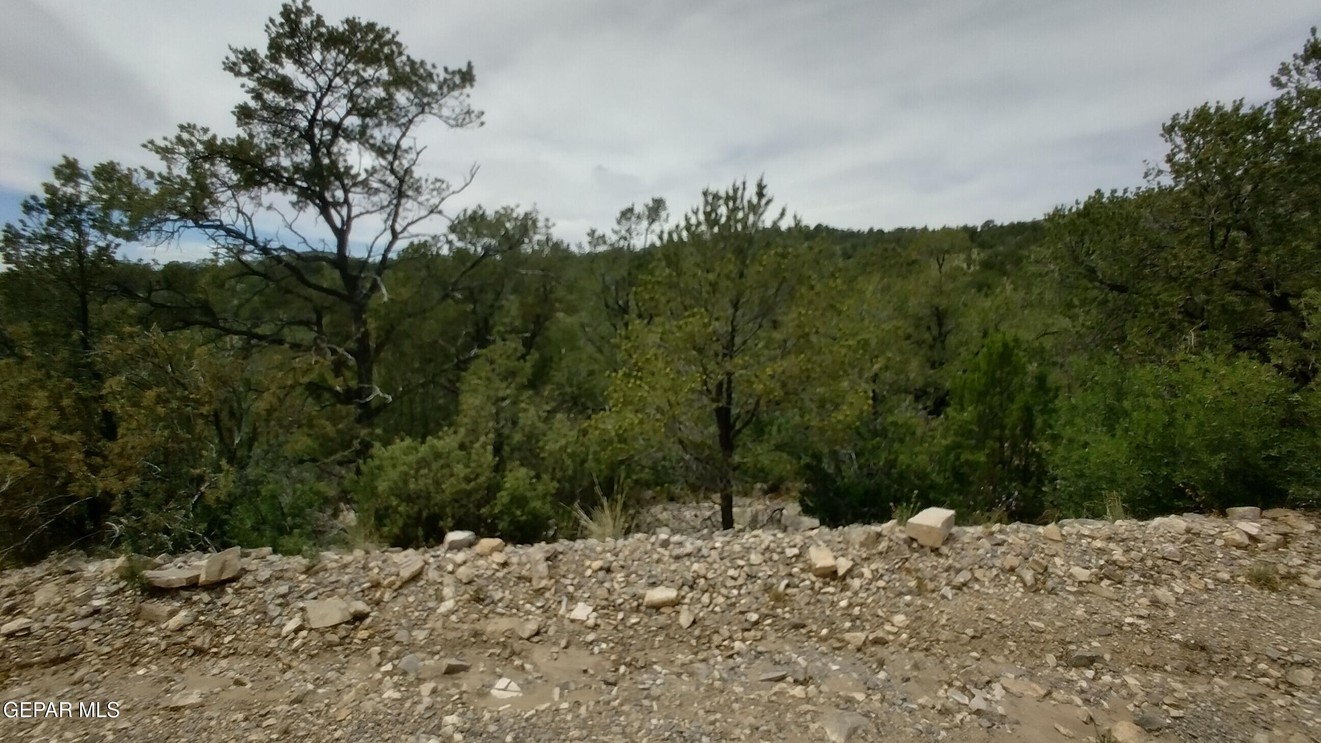 60 Canyon Road Property Photo 1