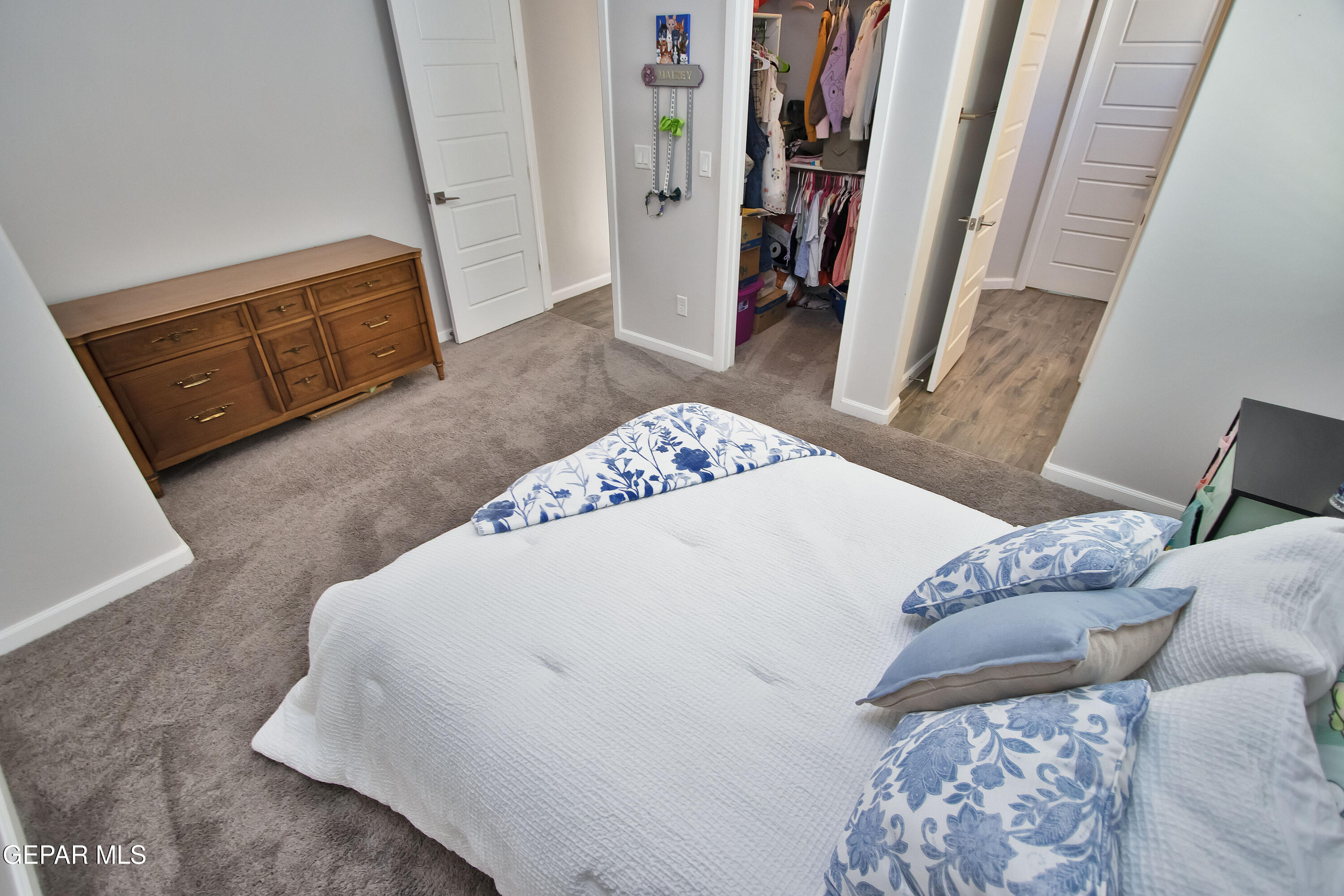 7373 Cimarron Gap Drive Property Photo 43