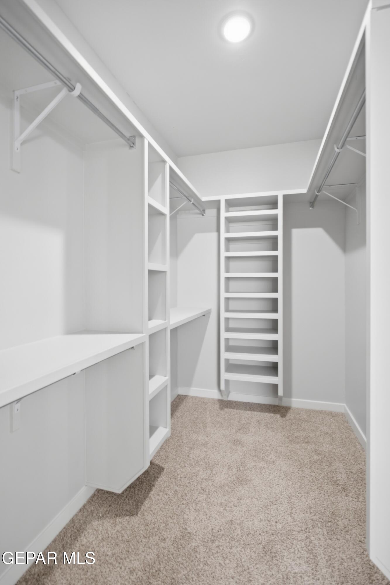 12125 Sanaa Drive Property Photo 9