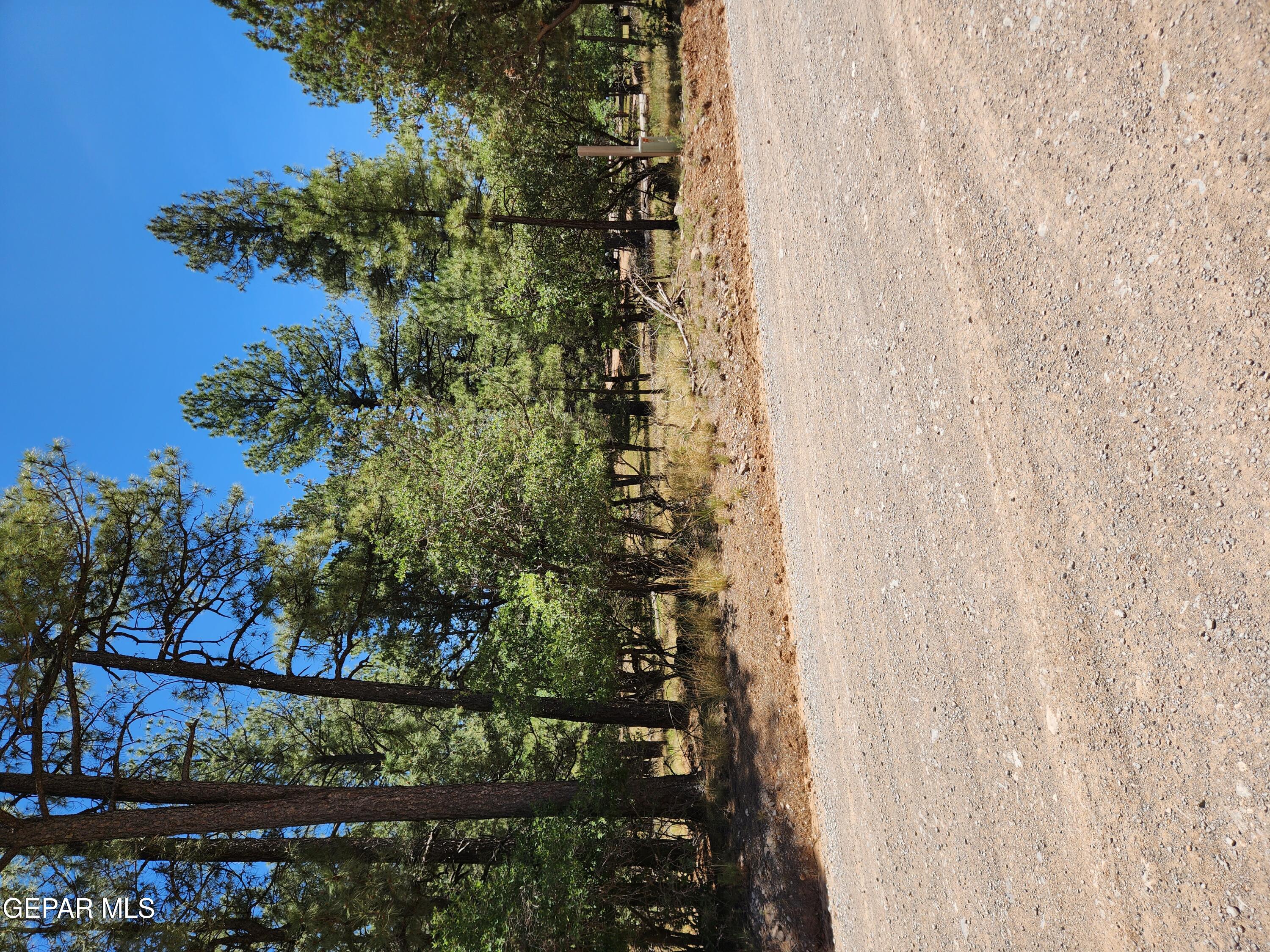 469 Dixwood Drive Property Photo 1