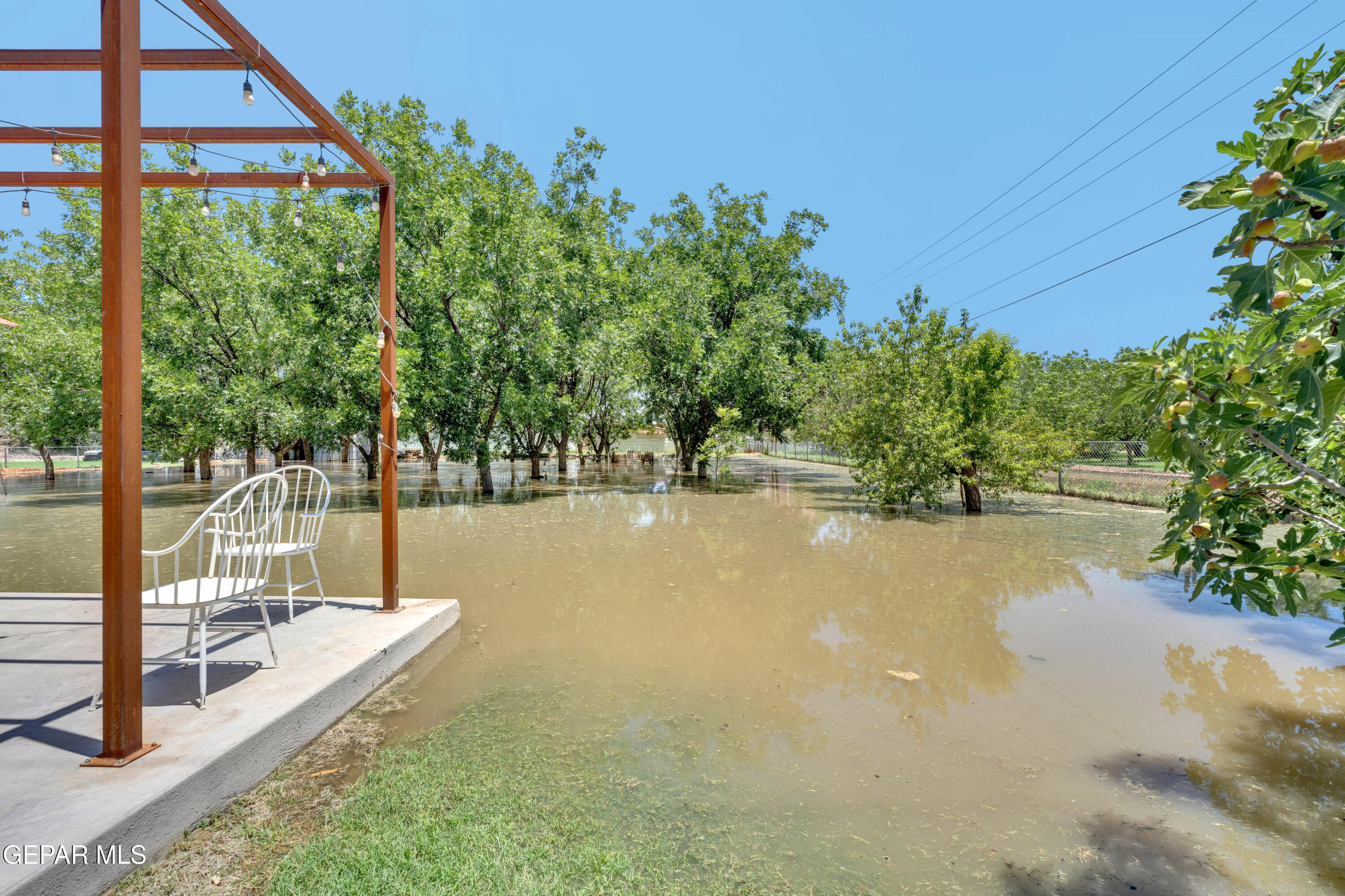 11942 Rancho Miraval Way Property Photo 66