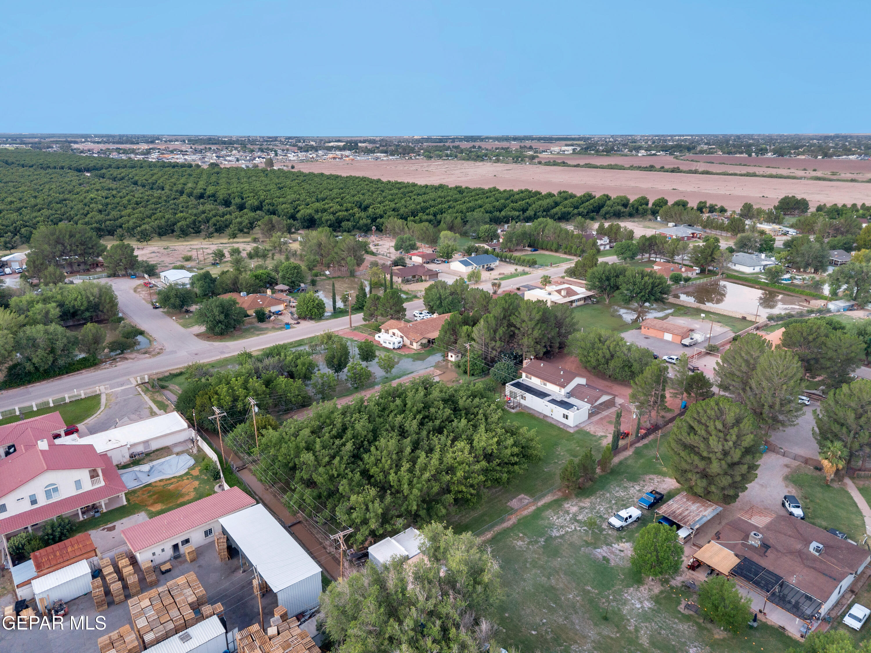 11942 Rancho Miraval Way Property Photo 86