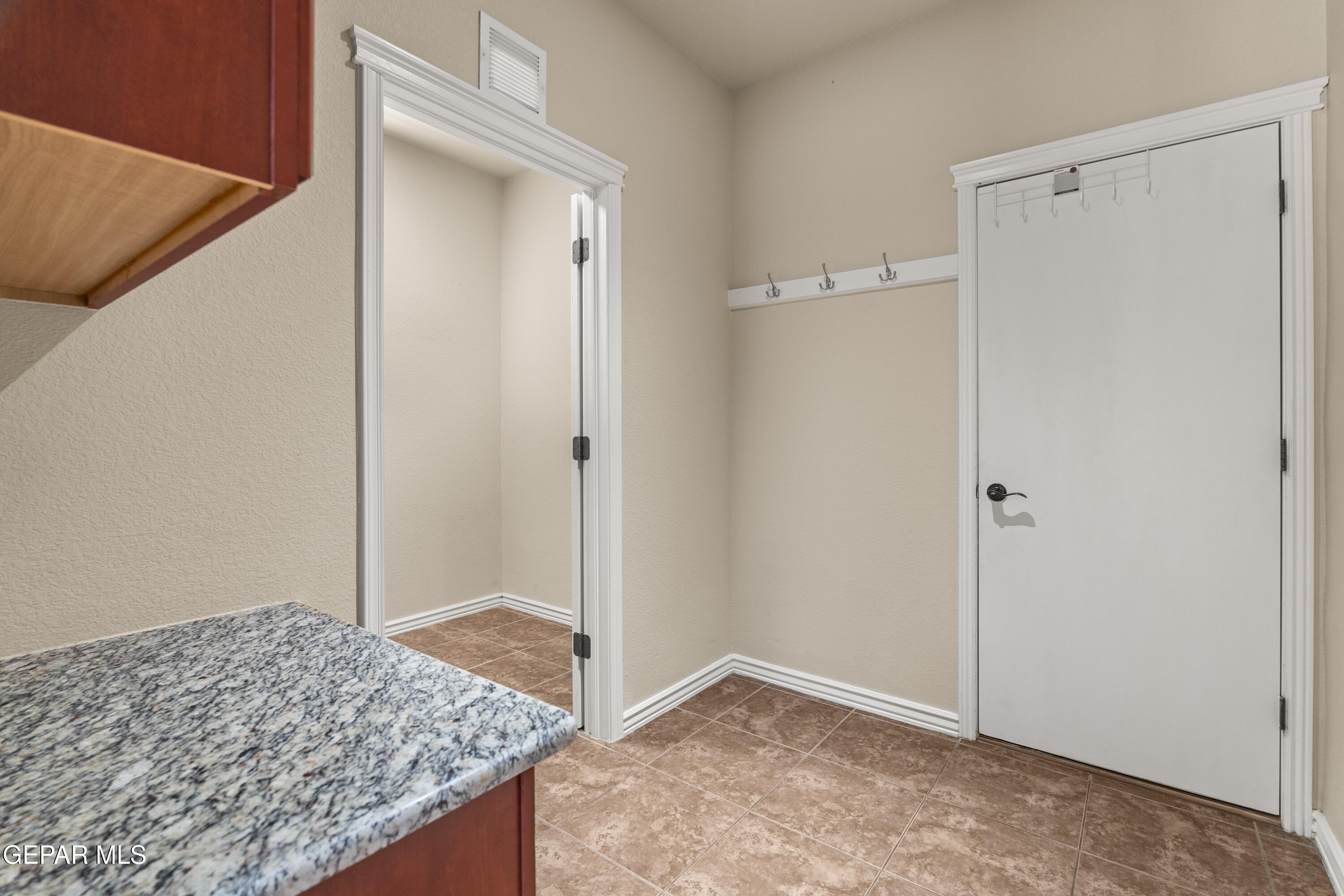 7389 Black Sage Drive Property Photo 19
