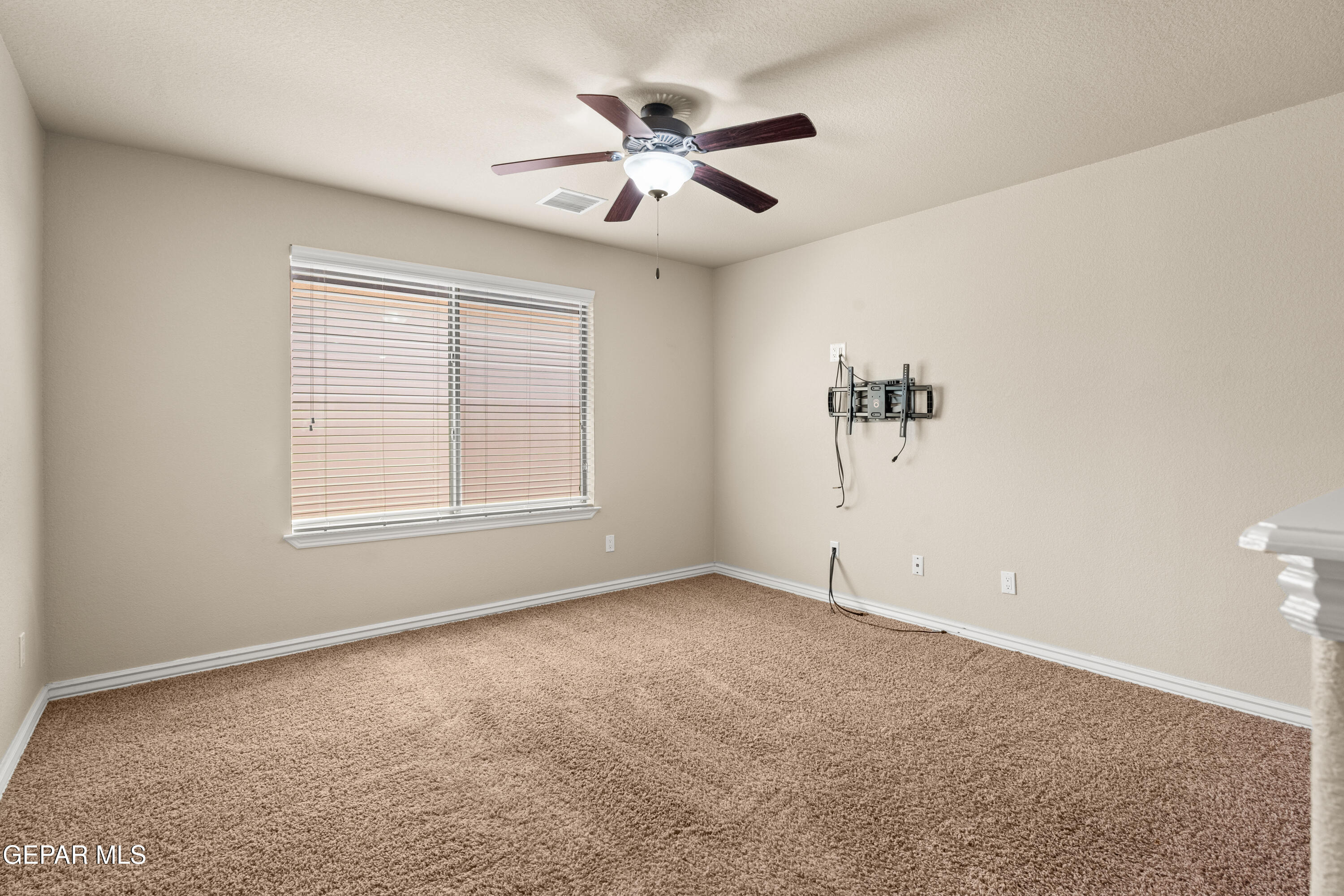 7389 Black Sage Drive Property Photo 22
