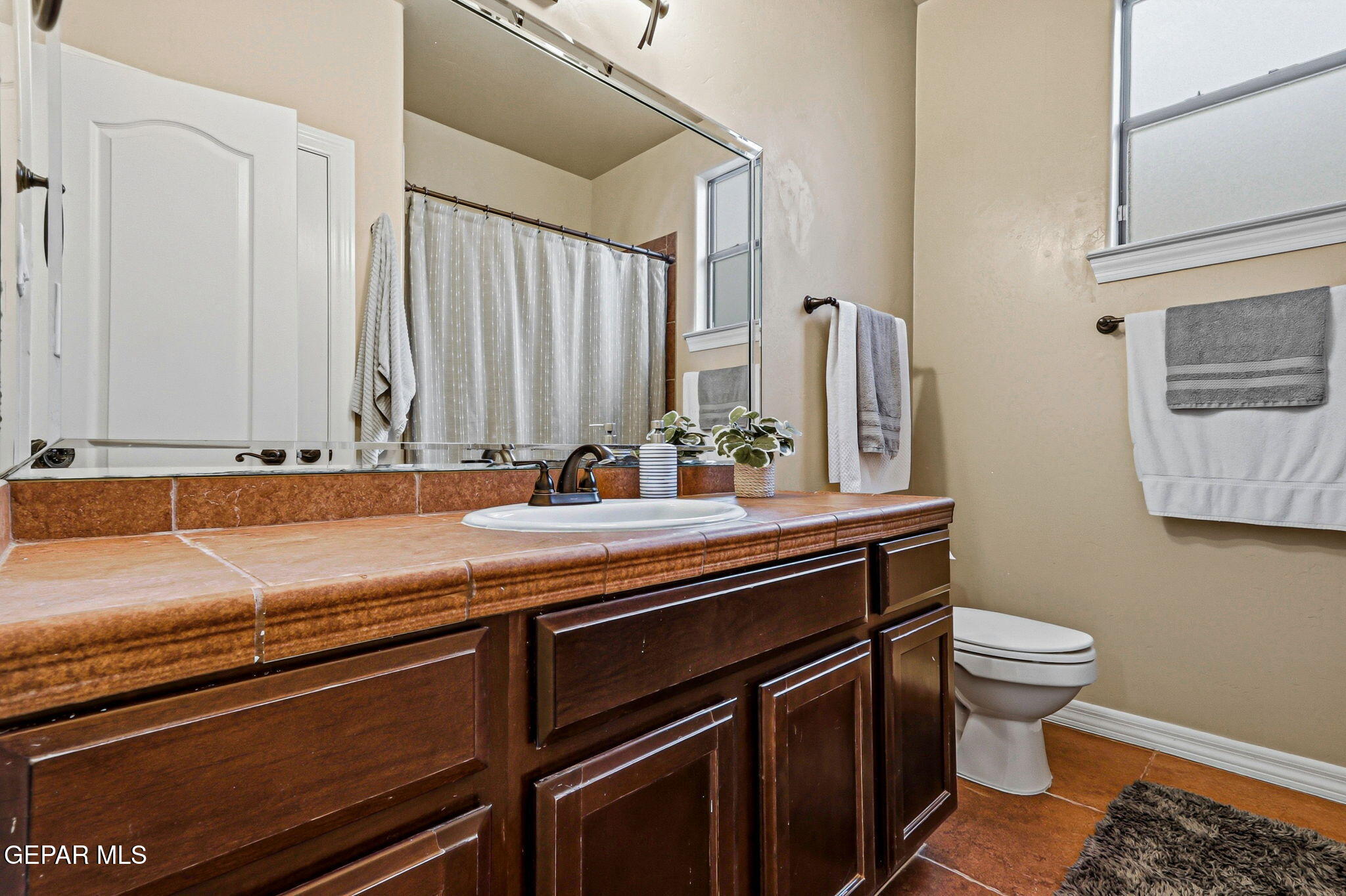 7388 Brays Landing Drive Property Photo 34