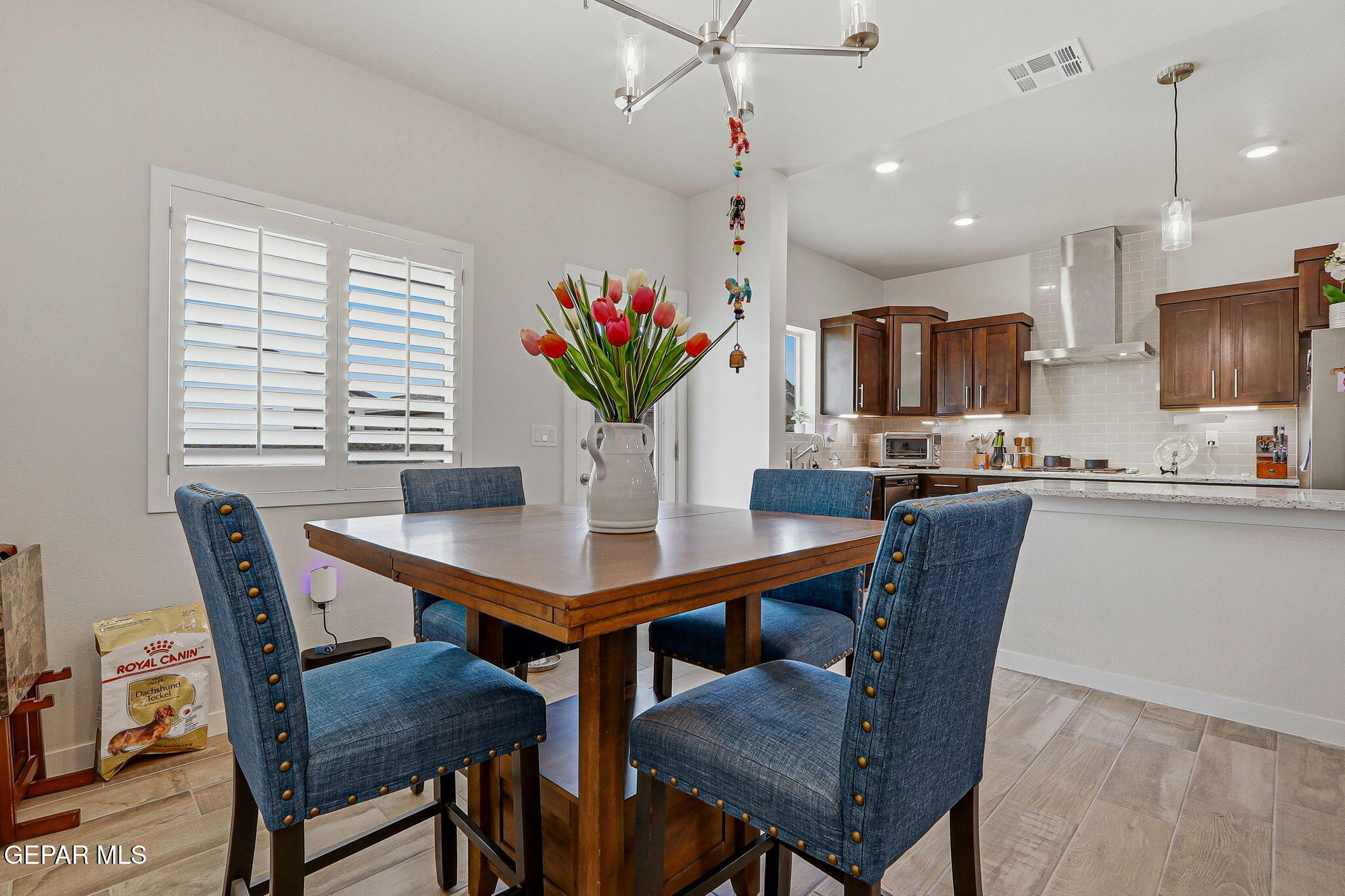 909 Indigo Sky Street Property Photo 21