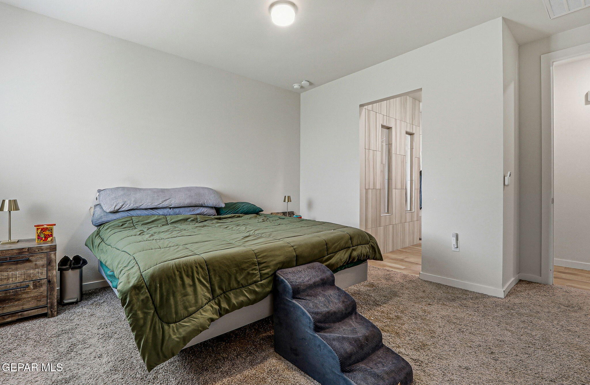 909 Indigo Sky Street Property Photo 31
