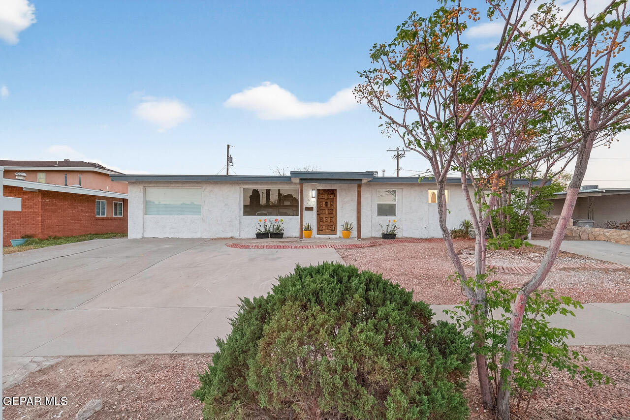 10105 Saigon Drive Property Photo 1