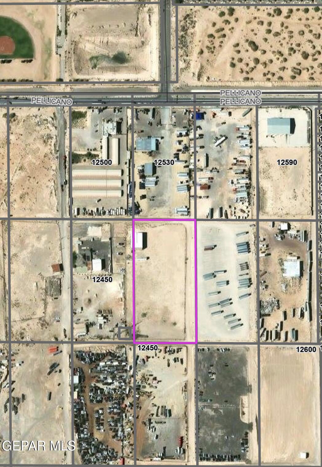 12426 Pellicano Drive Property Photo 4