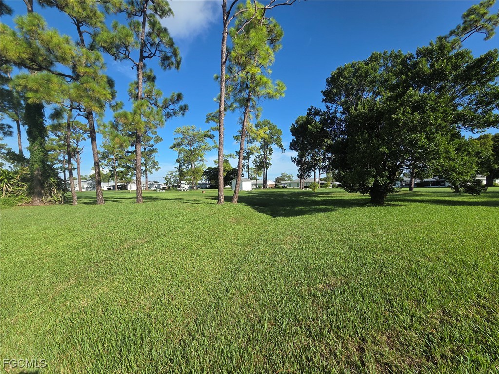 52 Heath Aster Ln Property Photo 38