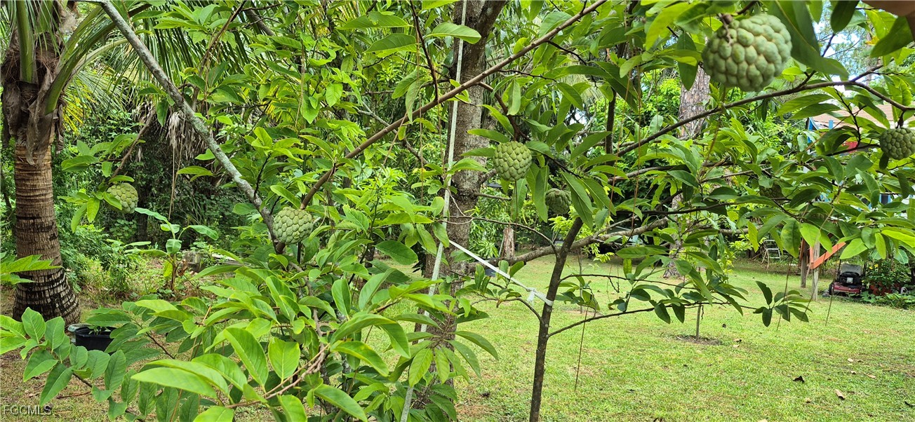 2011 Leroy Ave Property Photo 25