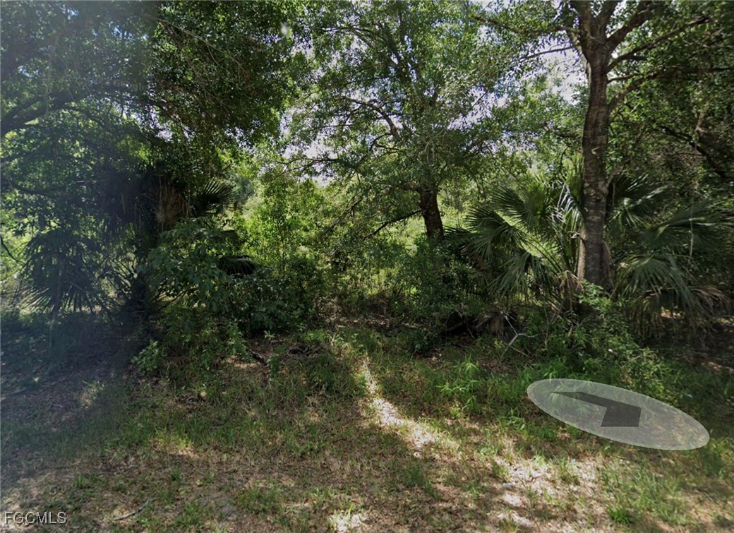 1317 Canton Ave Property Photo 3