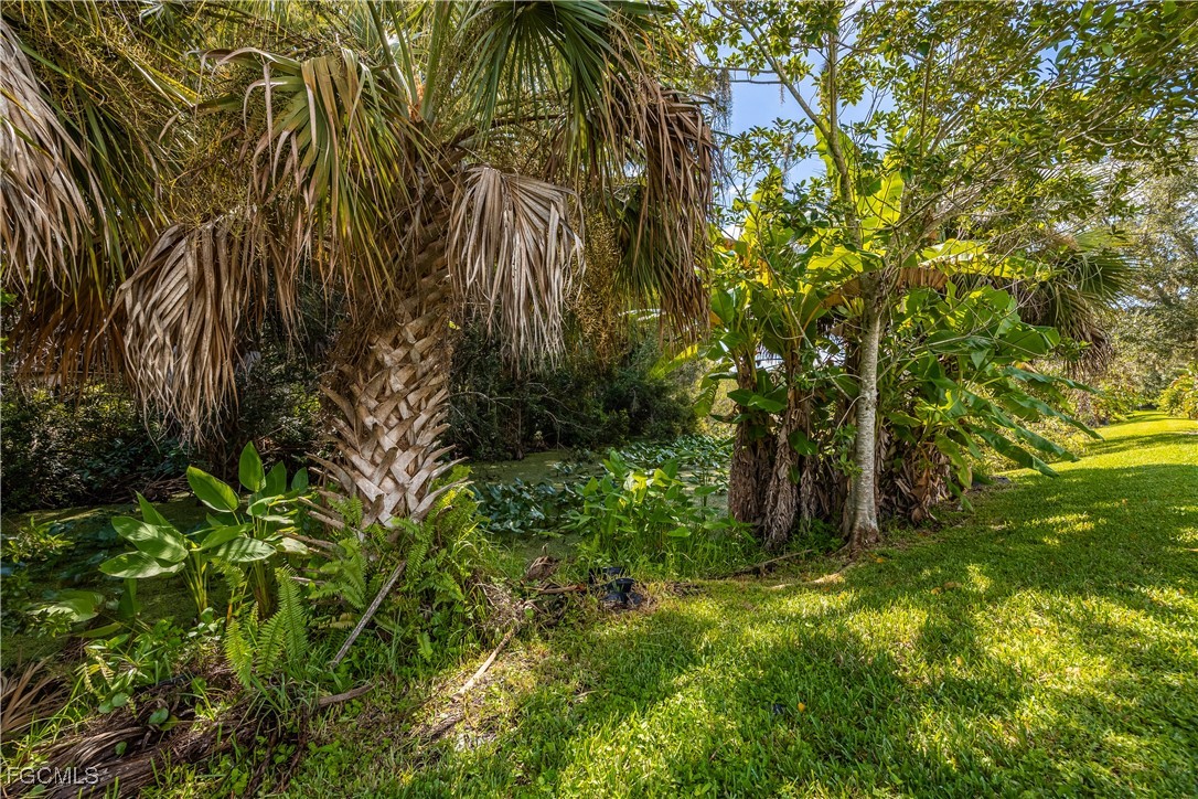 2720 Soaring Hawk Dr Property Photo 35