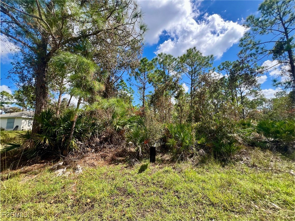 12334 Hindle AVE Property Photo 1