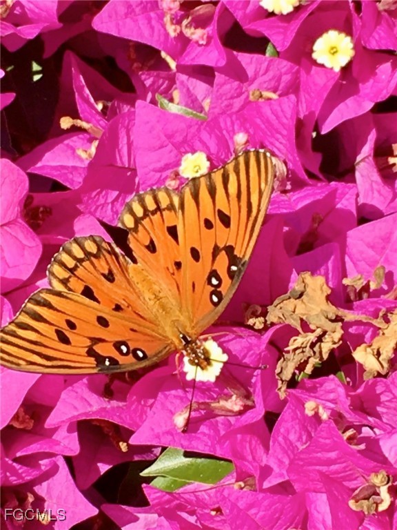 1390 Middle Gulf Dr E Property Photo 34