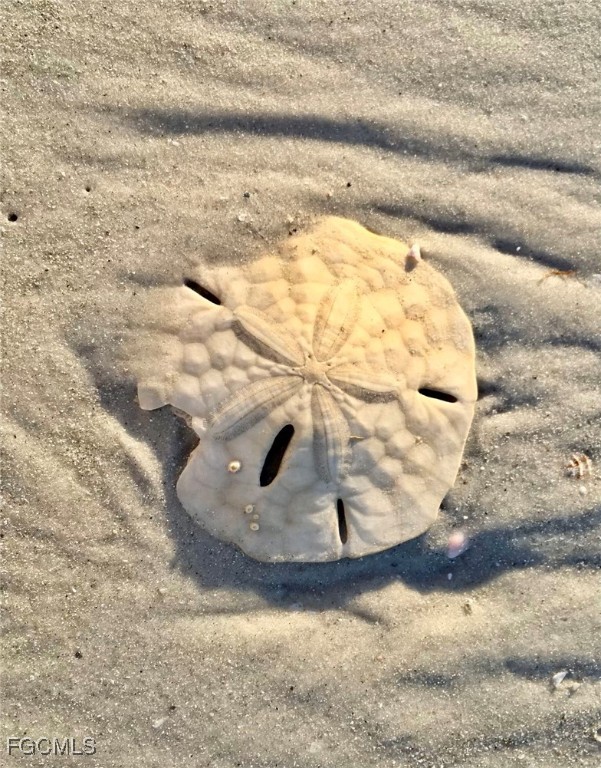 1390 Middle Gulf Dr E Property Photo 43