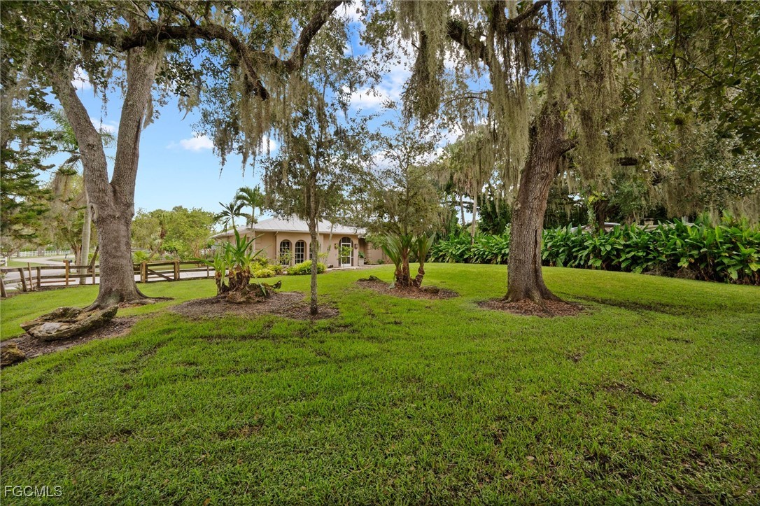 1981 Carbonata Dr Property Photo 49