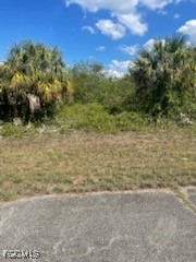 307 S Nancy Ln Property Photo 4