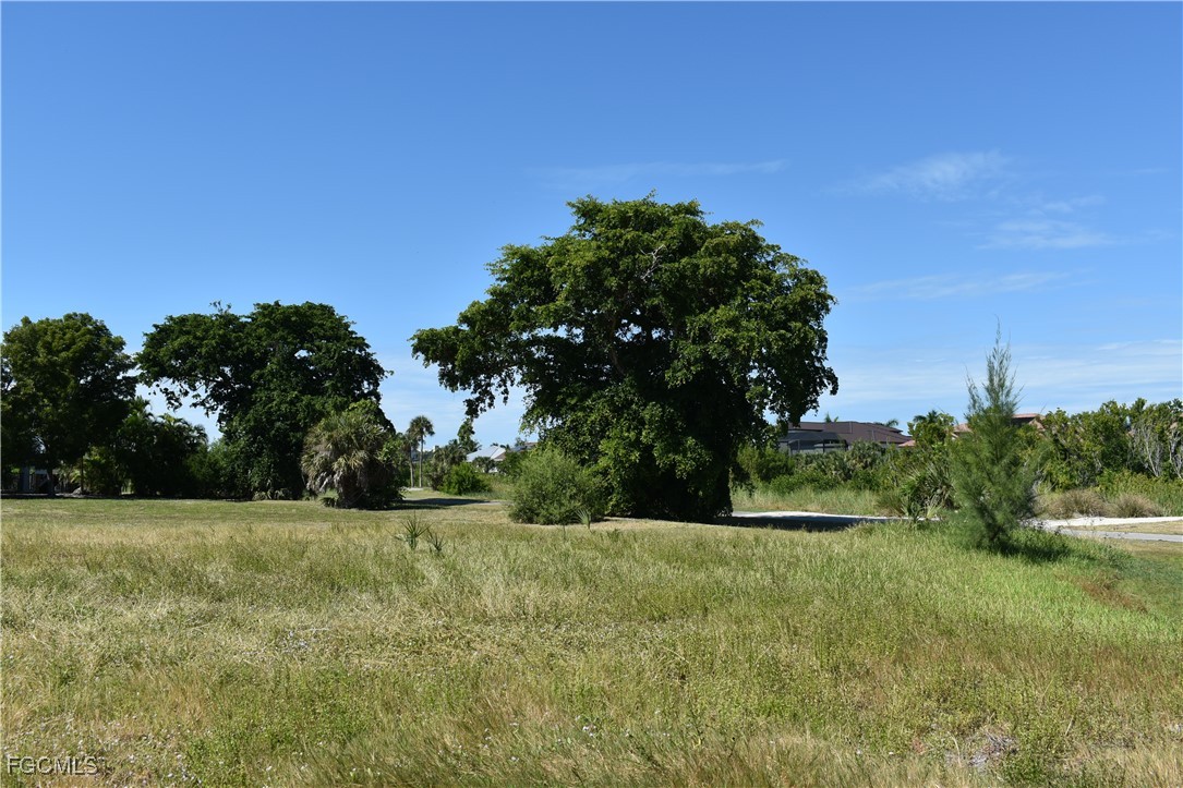 2025017529 Property Photo 6