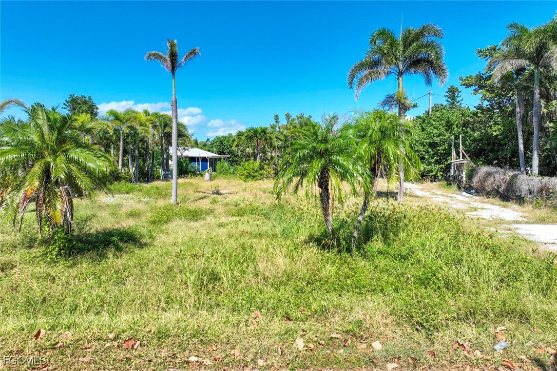 524 Lagoon Dr Property Photo 12