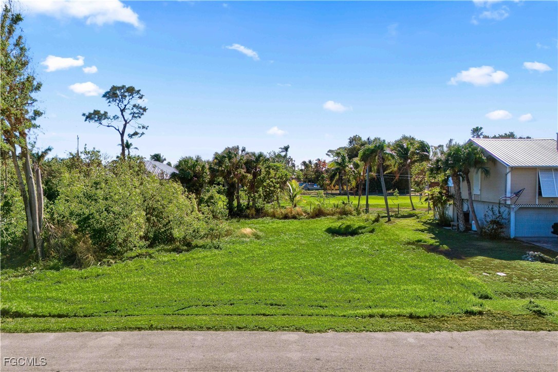 7767 Della Bitta Ln Property Photo 4