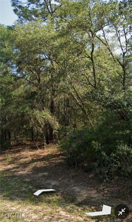 509 E Nemo Dr Property Photo 2