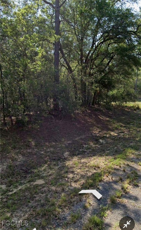 509 E Nemo Dr Property Photo 3