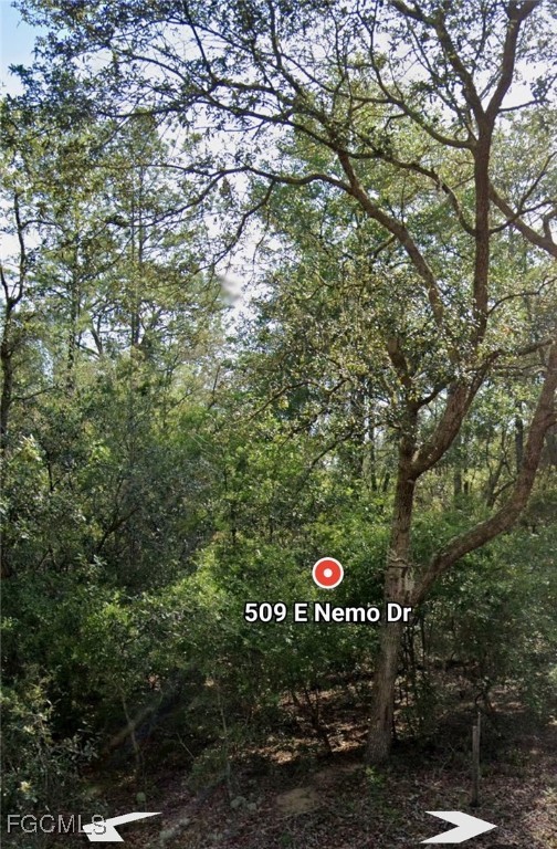 509 E Nemo Dr Property Photo 4