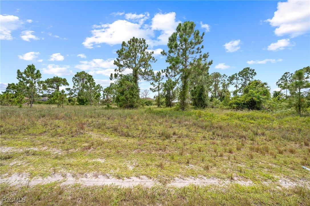 1226 Edelweiss St E Property Photo 11