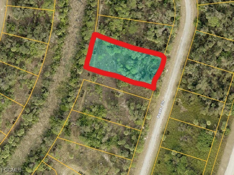 PEALE CIR Property Photo 1