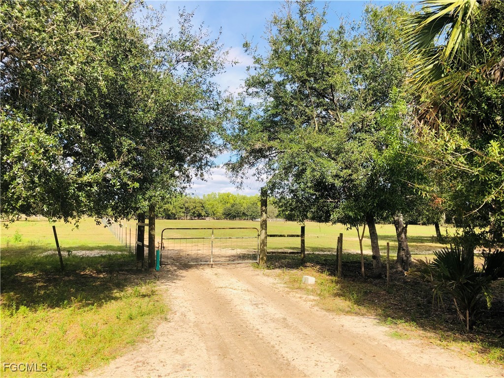 17341 Balfour Ter Property Photo 1