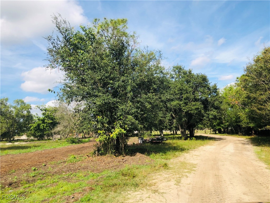 17341 Balfour Ter Property Photo 4
