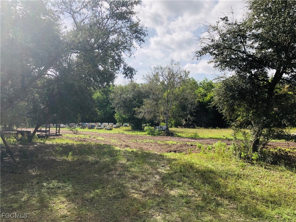 17341 Balfour Ter Property Photo 6