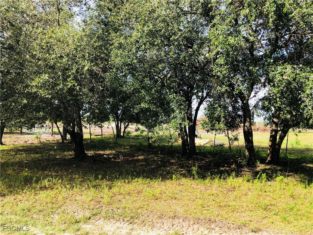 17341 Balfour Ter Property Photo 8
