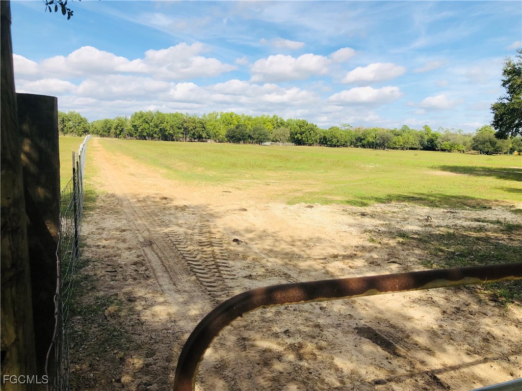 17341 Balfour Ter Property Photo 9