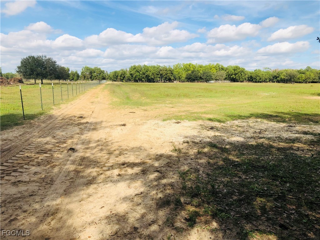17341 Balfour Ter Property Photo 12