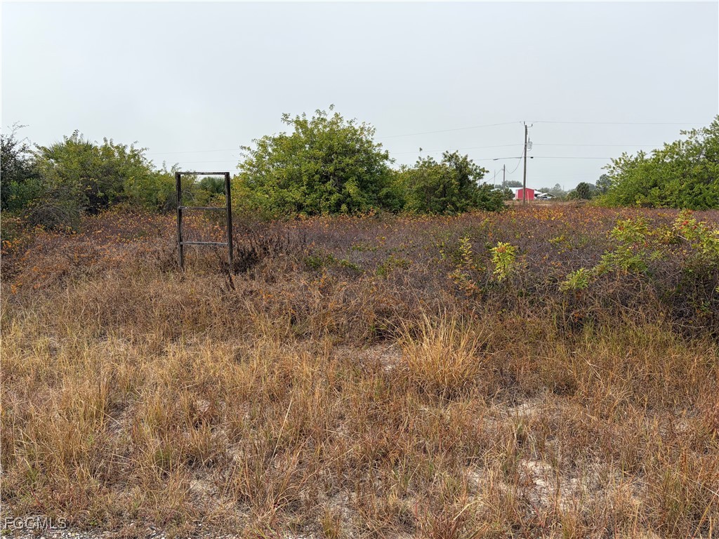 1509 Wells AVE Property Photo 1