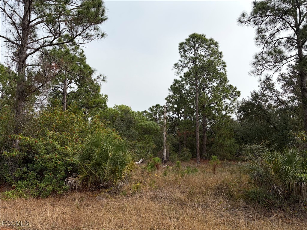 1310 Irving Ave Property Photo 4