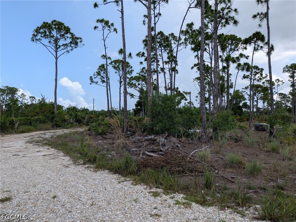 4159 Sunshine Blvd Property Photo 4