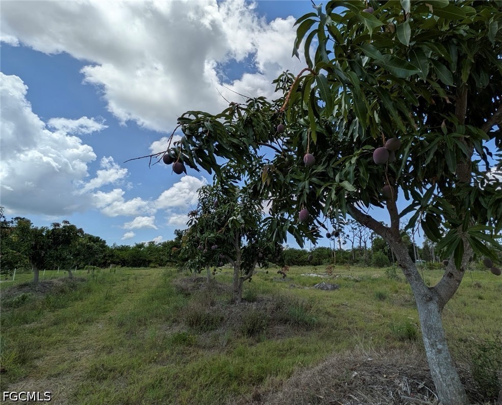 4159 Sunshine Blvd Property Photo 11