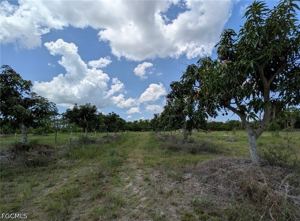 4159 Sunshine Blvd Property Photo 12