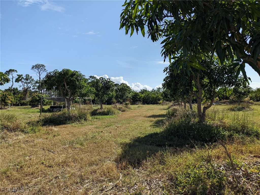 4159 Sunshine Blvd Property Photo 18