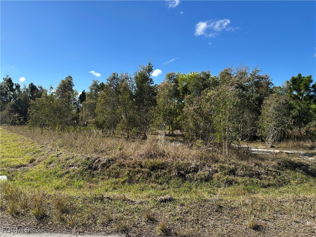 920 Panda Dr Property Photo 1