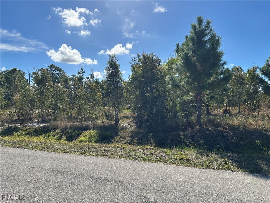 920 Panda Dr Property Photo 3