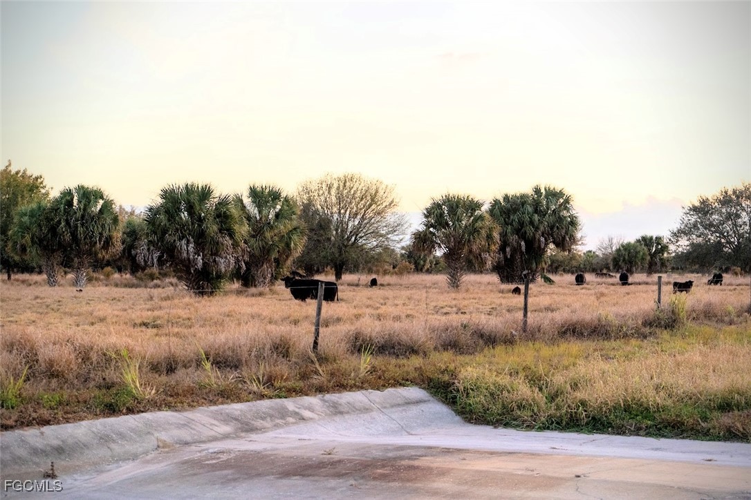 2549 W State Road 80 Property Photo 8