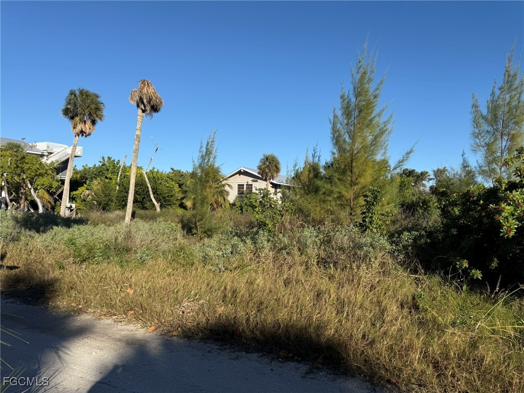 151 Swallow Dr Property Photo 10